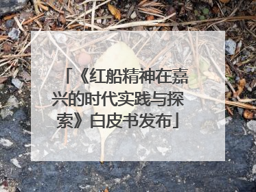 《红船精神在嘉兴的时代实践与探索》白皮书发布