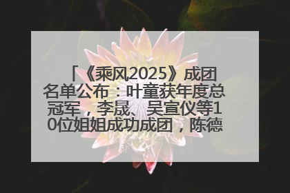 《乘风2025》成团名单公布：叶童获年度总冠军，李晟、吴宣仪等10位姐姐成功成团，陈德容获年度高光人物