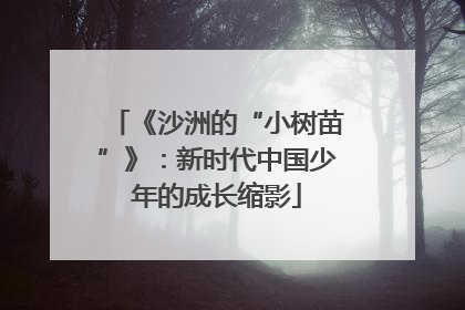 《沙洲的“小树苗”》：新时代中国少年的成长缩影