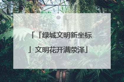 「绿城文明新坐标」文明花开满荥泽