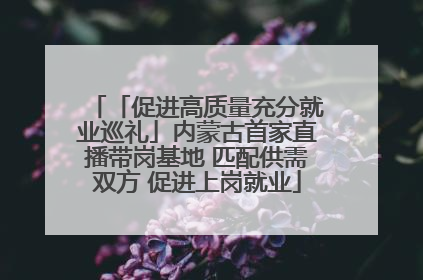「促进高质量充分就业巡礼」内蒙古首家直播带岗基地 匹配供需双方 促进上岗就业