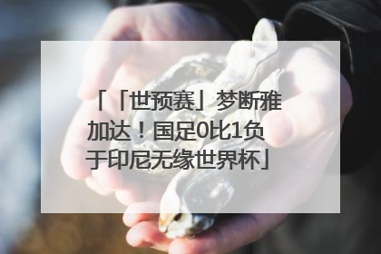 「世预赛」梦断雅加达！国足0比1负于印尼无缘世界杯