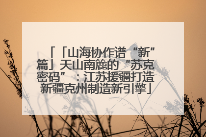 「山海协作谱“新”篇」天山南簏的“苏克密码”：江苏援疆打造新疆克州制造新引擎