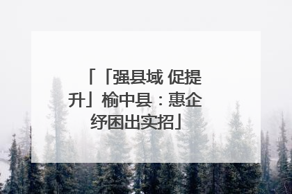 「强县域 促提升」榆中县：惠企纾困出实招