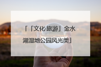 「文化·旅游」金水湖湿地公园风光美
