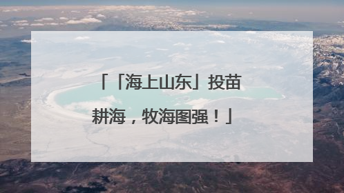 「海上山东」投苗耕海，牧海图强！
