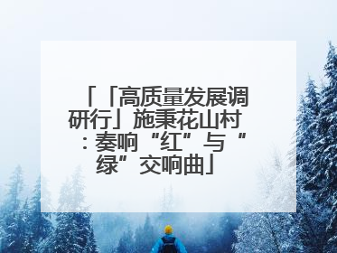 「高质量发展调研行」施秉花山村：奏响“红”与“绿”交响曲
