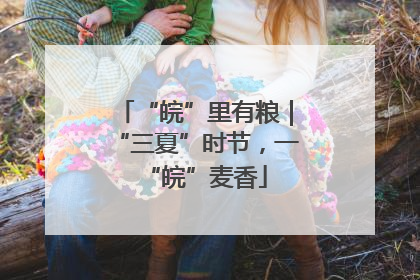 “皖”里有粮｜“三夏”时节，一“皖”麦香