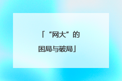 “网大”的困局与破局
