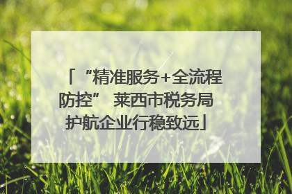 “精准服务+全流程防控” 莱西市税务局护航企业行稳致远