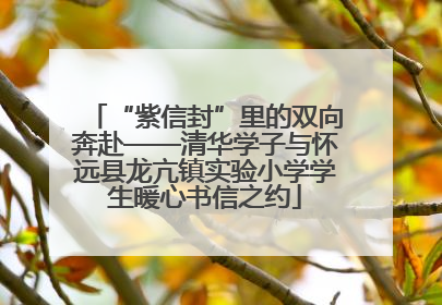 “紫信封”里的双向奔赴——清华学子与怀远县龙亢镇实验小学学生暖心书信之约