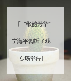 “缑韵芳华”宁海平调折子戏专场举行
