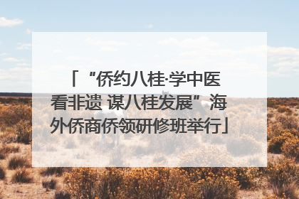 “侨约八桂·学中医 看非遗 谋八桂发展”海外侨商侨领研修班举行