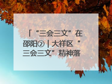“三会三文”在邵阳②｜大祥区“三会三文”精神落地有声 以实干实绩助力区域高质量发展