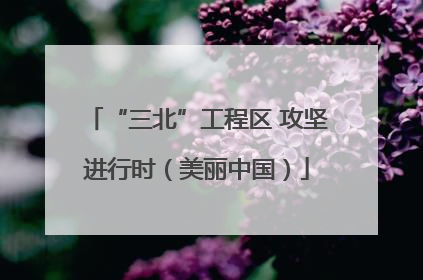 “三北”工程区 攻坚进行时（美丽中国）