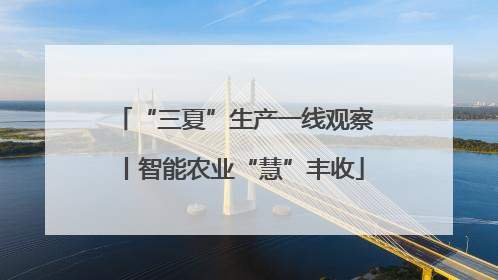 “三夏”生产一线观察丨智能农业“慧”丰收
