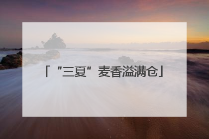 “三夏”麦香溢满仓