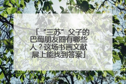 “三苏”父子的巴蜀朋友圈有哪些人？这场书画文献展上能找到答案