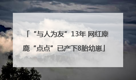 “与人为友”13年 网红麋鹿“点点”已产下8胎幼崽
