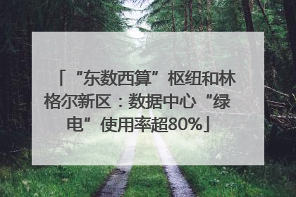 “东数西算”枢纽和林格尔新区：数据中心“绿电”使用率超80%
