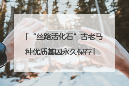 “丝路活化石”古老马种优质基因永久保存