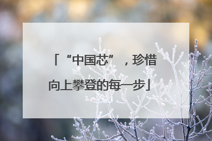 “中国芯”，珍惜向上攀登的每一步