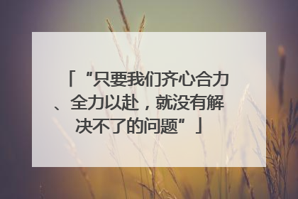 “只要我们齐心合力、全力以赴，就没有解决不了的问题”