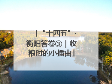 “十四五”·衡阳答卷③｜收粮时的小插曲