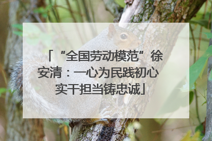 “全国劳动模范”徐安清：一心为民践初心 实干担当铸忠诚