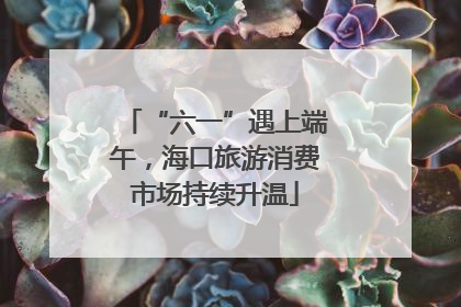 “六一”遇上端午，海口旅游消费市场持续升温