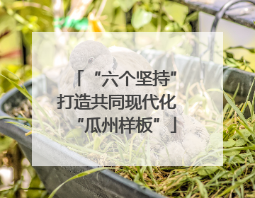 “六个坚持”打造共同现代化“瓜州样板”