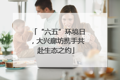 “六五”环境日，大兴廊坊携手共赴生态之约