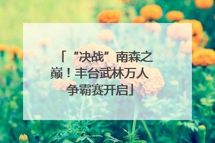 “决战”南森之巅！丰台武林万人争霸赛开启