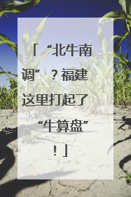 “北牛南调”？福建这里打起了“牛算盘”！