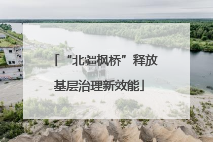 “北疆枫桥”释放基层治理新效能