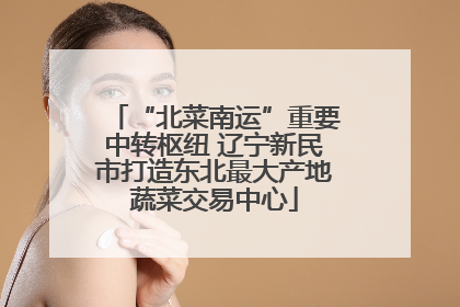 “北菜南运”重要中转枢纽 辽宁新民市打造东北最大产地蔬菜交易中心