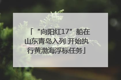 “向阳红17”船在山东青岛入列 开始执行黄渤海浮标任务