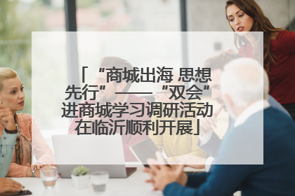 “商城出海 思想先行”——“双会”进商城学习调研活动在临沂顺利开展
