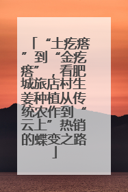“土疙瘩”到“金疙瘩”，看肥城旅店村生姜种植从传统农作到“云上”热销的蝶变之路