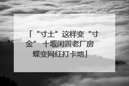 “寸土”这样变“寸金” 十堰闲置老厂房蝶变网红打卡地