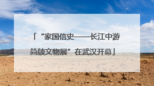 “家国信史——长江中游简牍文物展”在武汉开幕