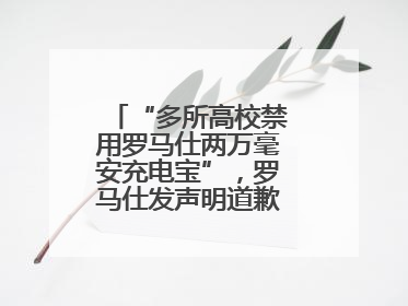 “多所高校禁用罗马仕两万毫安充电宝”，罗马仕发声明道歉：已展开核查