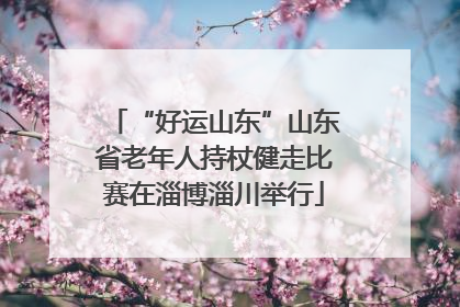 “好运山东”山东省老年人持杖健走比赛在淄博淄川举行