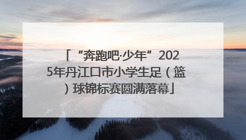 “奔跑吧·少年”2025年丹江口市小学生足（篮）球锦标赛圆满落幕