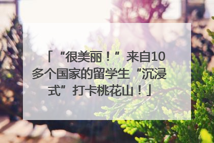 “很美丽！”来自10多个国家的留学生“沉浸式”打卡桃花山！