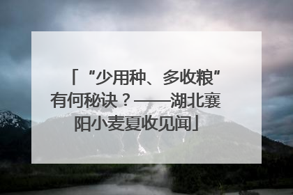 “少用种、多收粮”有何秘诀？——湖北襄阳小麦夏收见闻