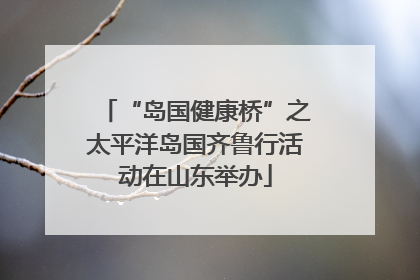 “岛国健康桥”之太平洋岛国齐鲁行活动在山东举办