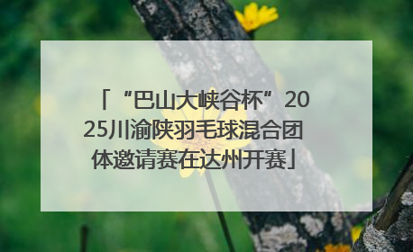 “巴山大峡谷杯”2025川渝陕羽毛球混合团体邀请赛在达州开赛