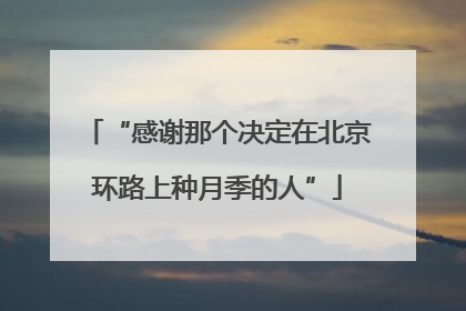 “感谢那个决定在北京环路上种月季的人”