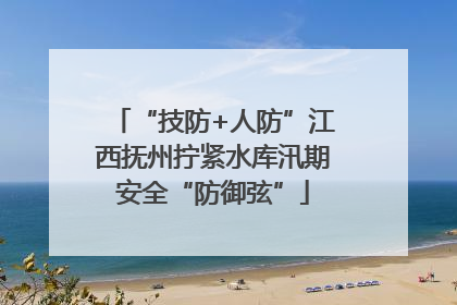 “技防+人防”江西抚州拧紧水库汛期安全“防御弦”